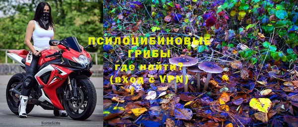 mdpv Куйбышев