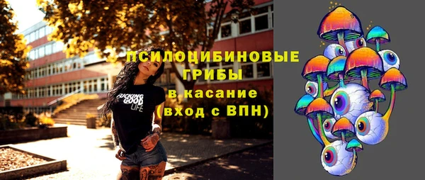 ПСИЛОЦИБИНОВЫЕ ГРИБЫ Магас