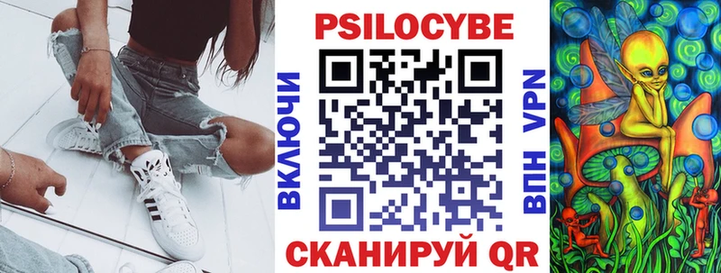 где можно купить   Циолковский  Псилоцибиновые грибы MAGIC MUSHROOMS 